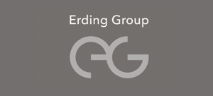 Лого «Erdin Group»